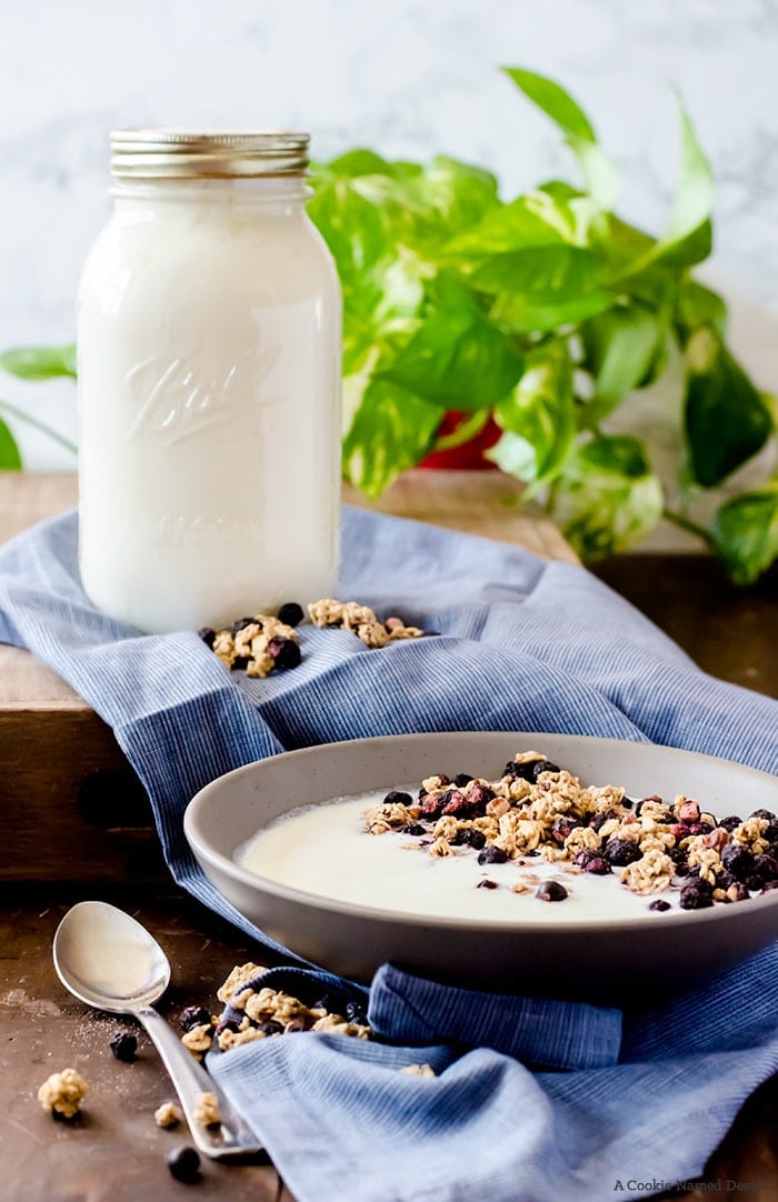 Learn how to make homemade yogurt without any fancy equipment. Get tips and tricks for success and how to tailor the yogurt to your tastes. This is a wonderfully easy healthy recipe you will use regularly!