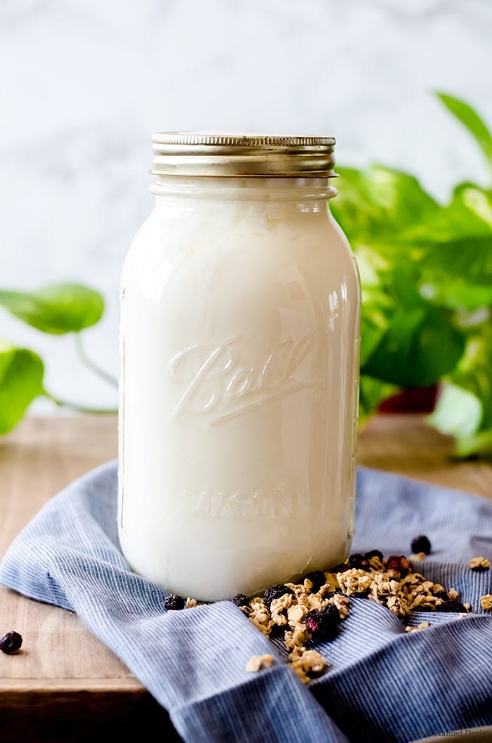 Learn how to make homemade yogurt without any fancy equipment. Get tips and tricks for success and how to tailor the yogurt to your tastes. This is a wonderfully easy healthy recipe you will use regularly!