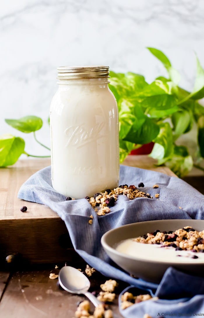 Learn how to make homemade yogurt without any fancy equipment. Get tips and tricks for success and how to tailor the yogurt to your tastes. This is a wonderfully easy healthy recipe you will use regularly!