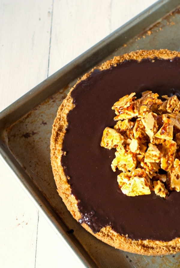 Honey-scented Cheesecake with Chocolate Ganache and Honeycomb | @cookiedesire