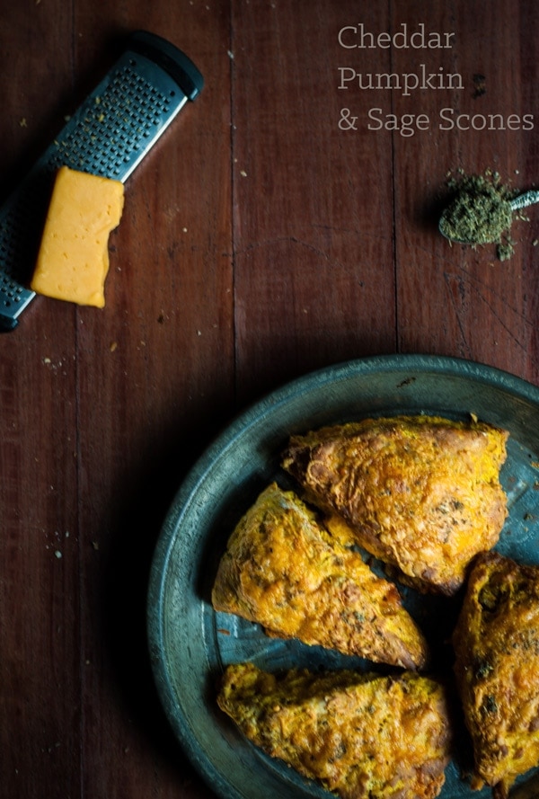 Cheddar pumpkin sage scones - what a deliciously awesome way to enjoy my favorite fall flavors.