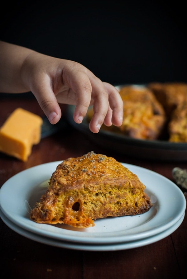 Cheddar pumpkin sage scones - what a deliciously awesome way to enjoy my favorite fall flavors. 