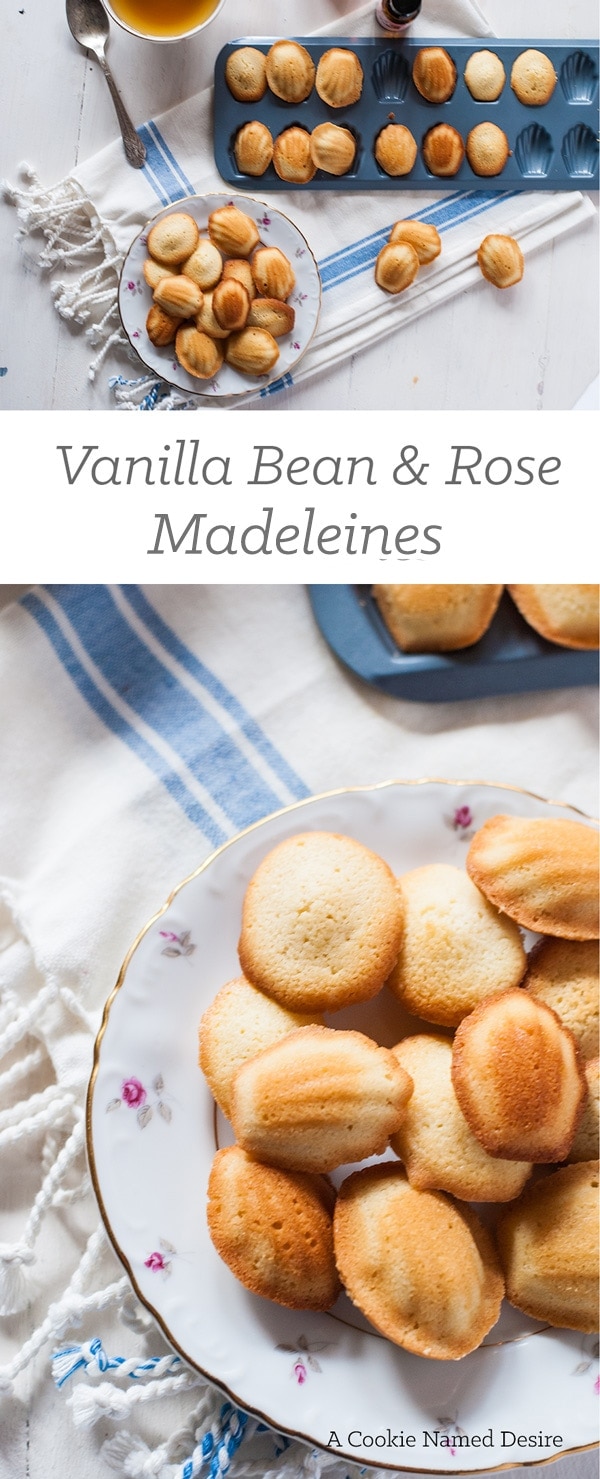 Dainty mini vanilla bean and rose madeleines - perfect for any time of day