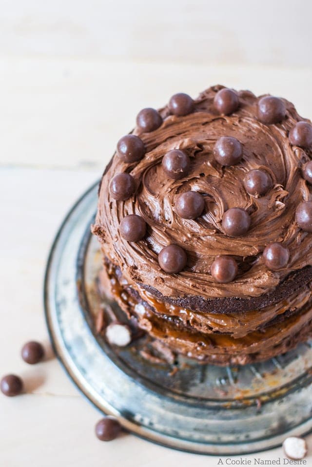 brownie cake with chocolate malt frosting