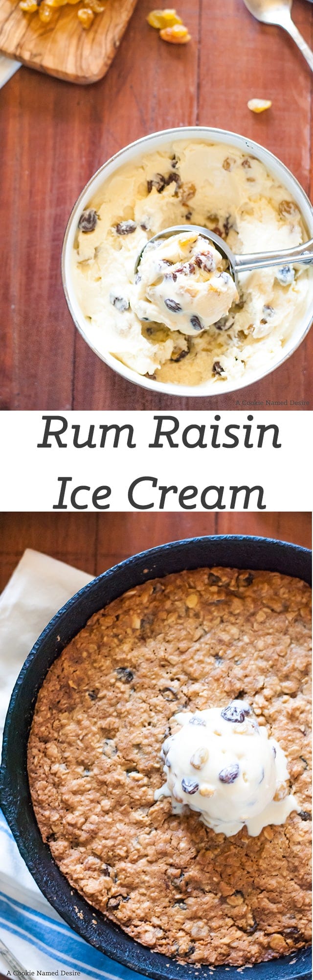 Rum raisin ice cream