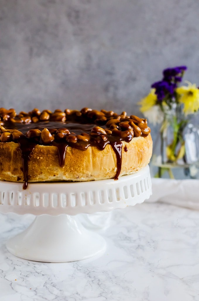 This salted caramel cashew cheesecake is the epitome of salty sweet indulgence. You will fall in love with this easy dessert recipe. 