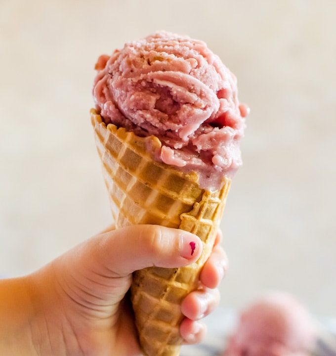 A fresh roasted plum ice cream that'll make all your summer dreams come true