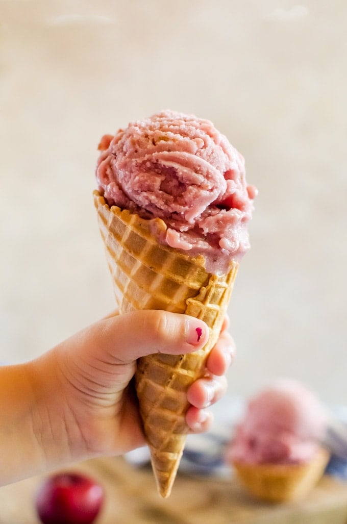 A fresh roasted plum ice cream that'll make all your summer dreams come true