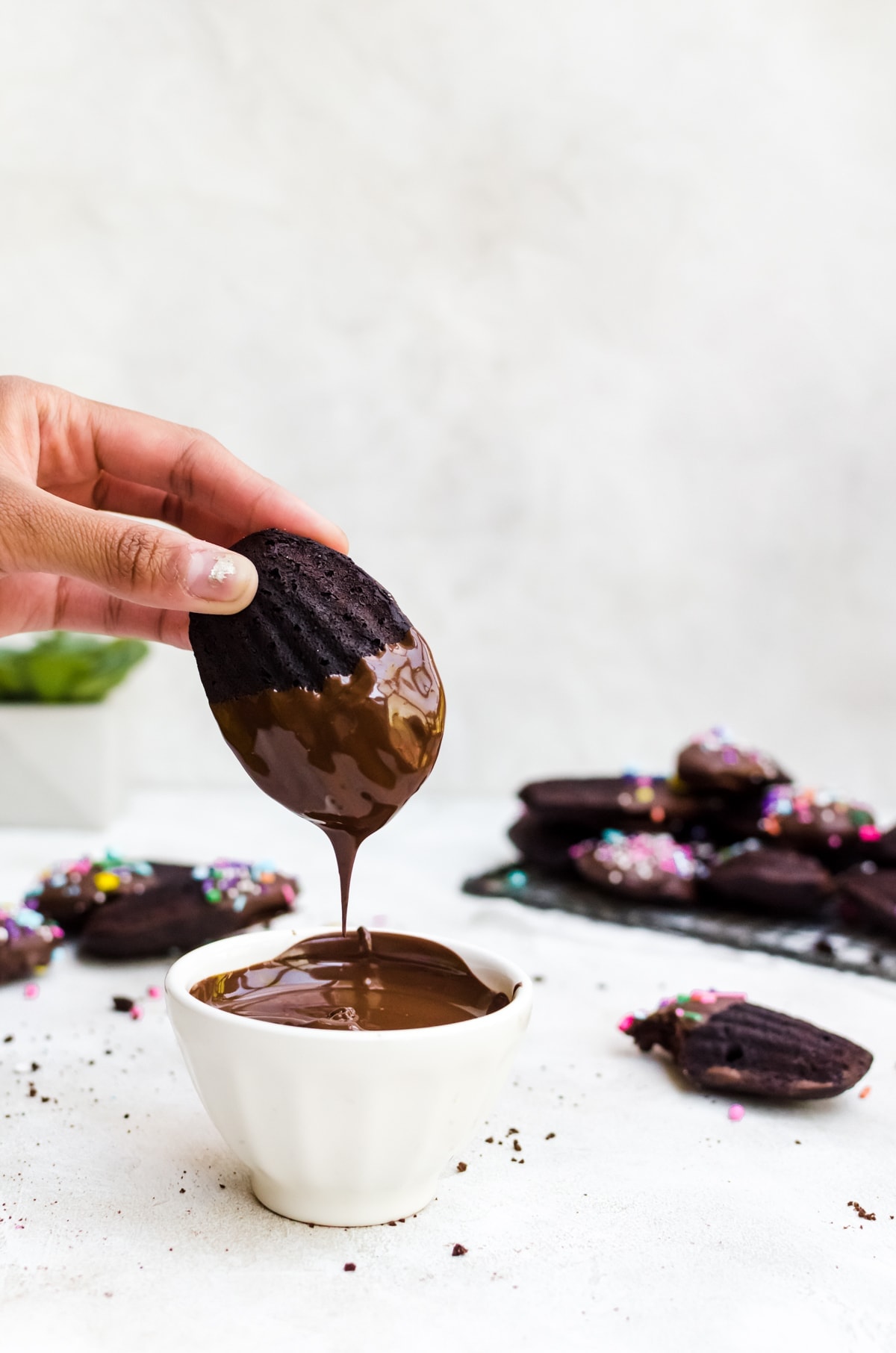 chocolate madeleines dipped in chocolate