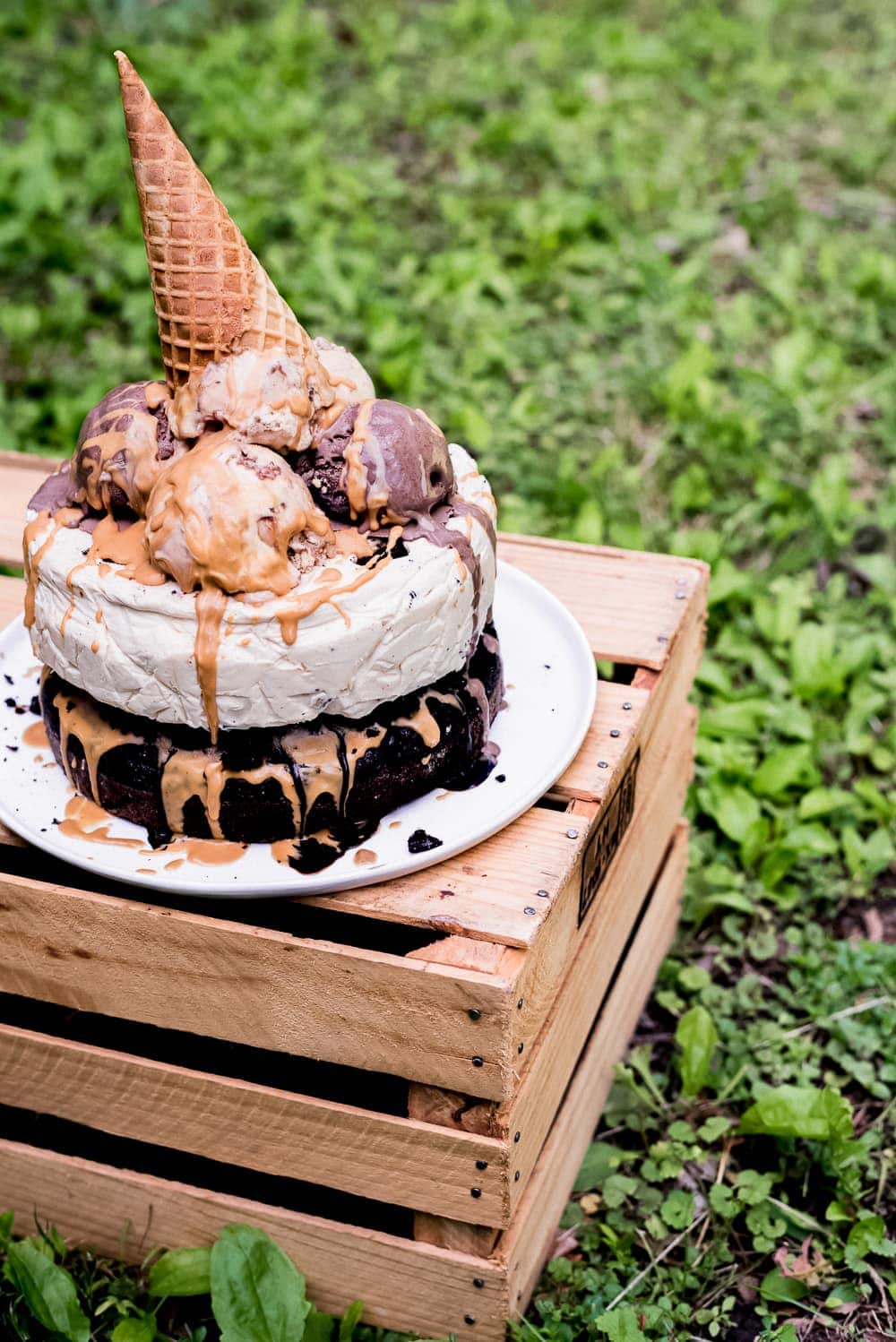 chocolate peanut butter ice cream cake outside