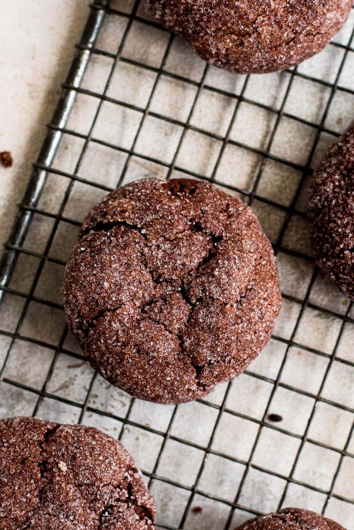 close up top of chocolate sugar cookie