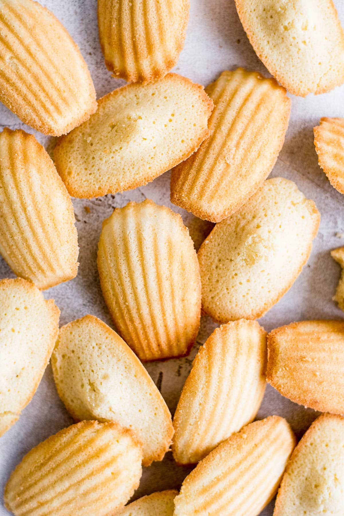 close up french madeleines scattered on table